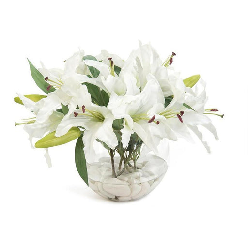 John Richard Asiatic Lilies