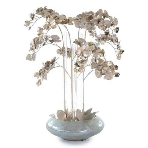 John Richard Champagne Orchids