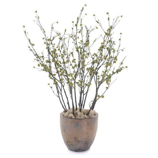 John Richard Black Forest