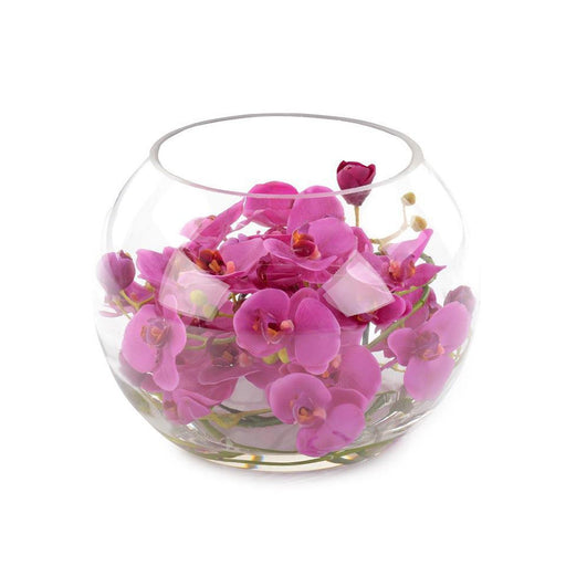 John Richard Vivid Orchids