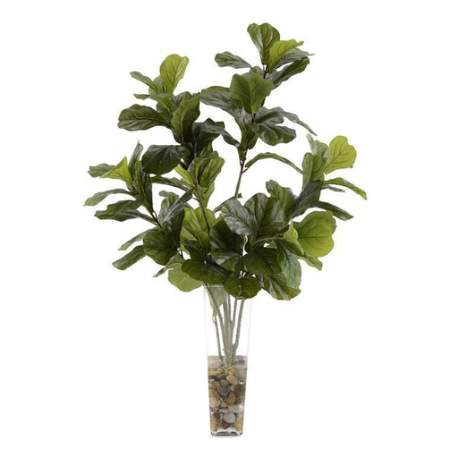 John Richard Aqua Fig