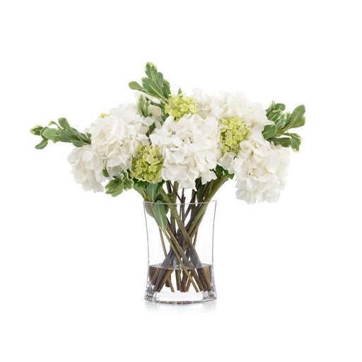 John Richard White Dove