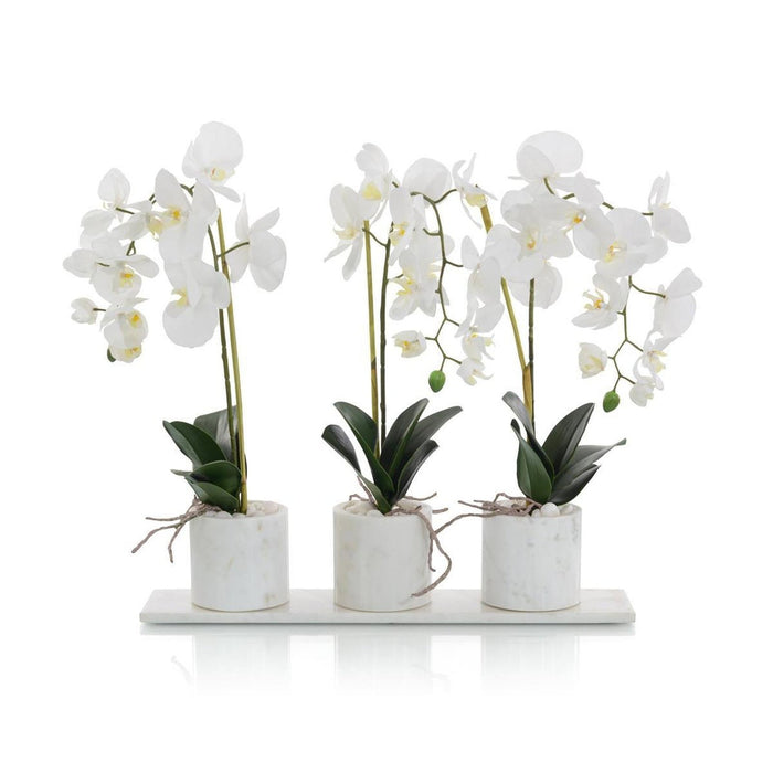 John Richard Marble Orchids