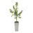 John Richard Citrus Tree
